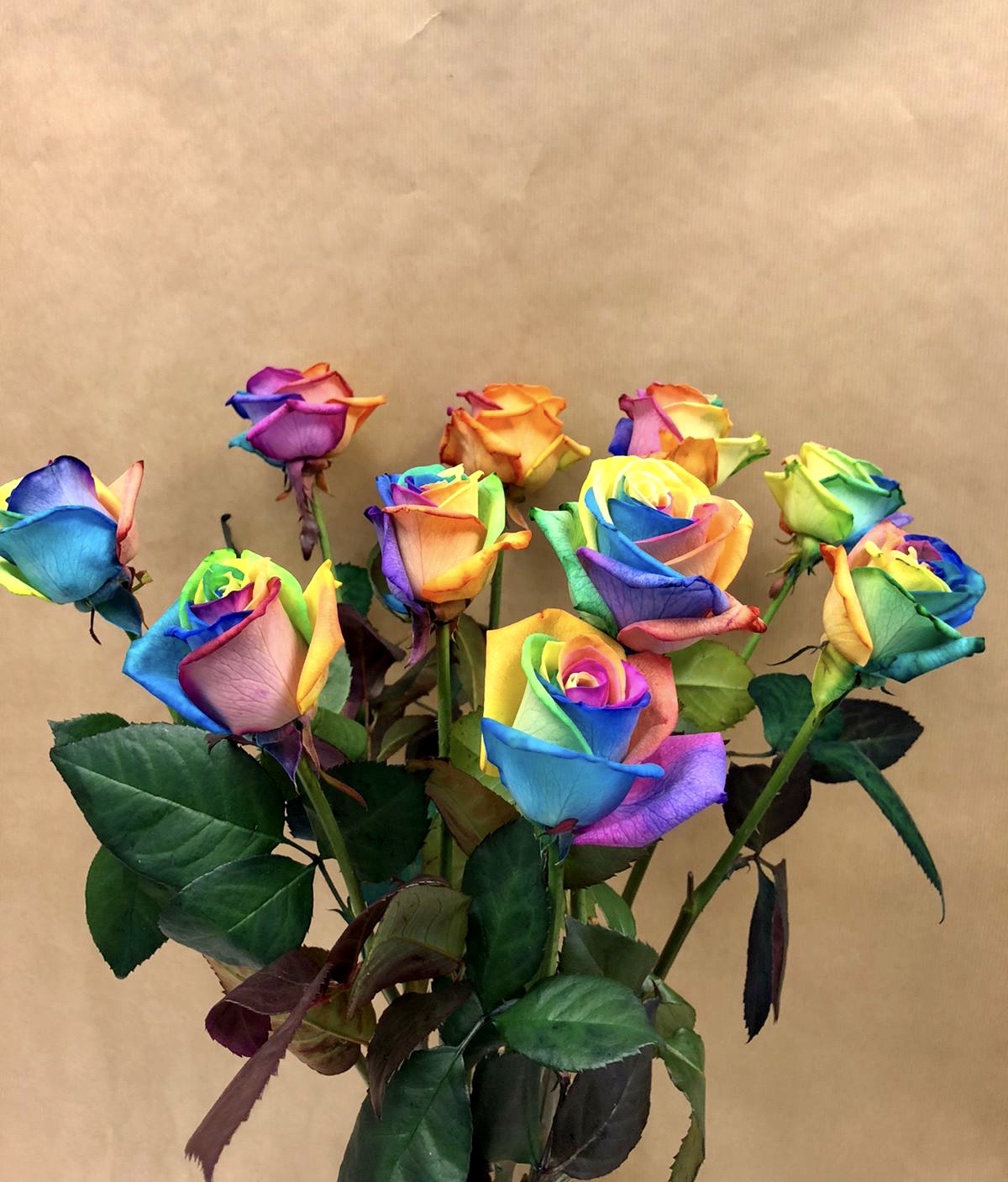 10 Rainbow Roses In A Vase