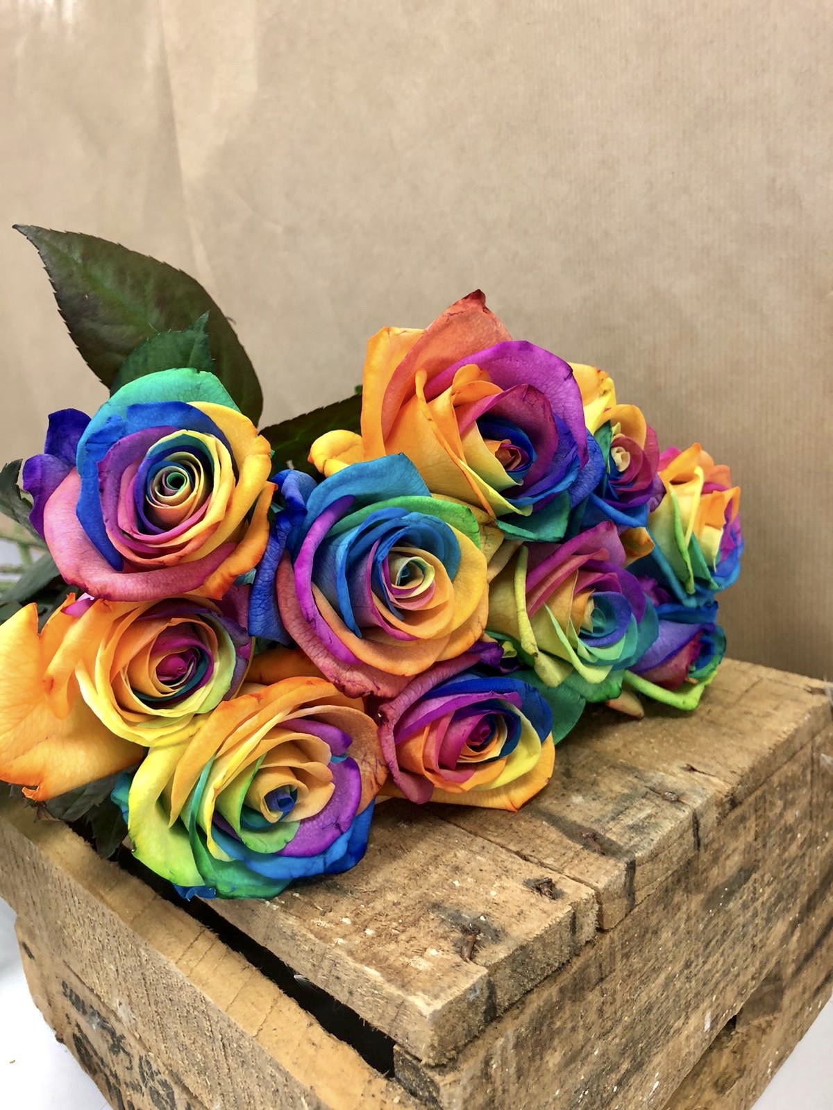 10 Rainbow Roses