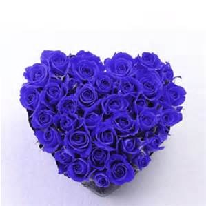 Blue Rose Heart | Heart Of Blue Roses | Blue Heart