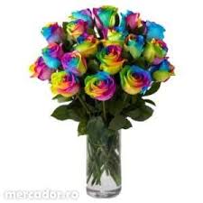 15 Rainbow Rose Bouquet